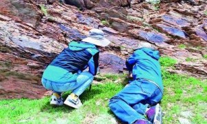 激辩“秦始皇遣使采药昆仑石刻”真伪，光明日报专版刊文学术争鸣
